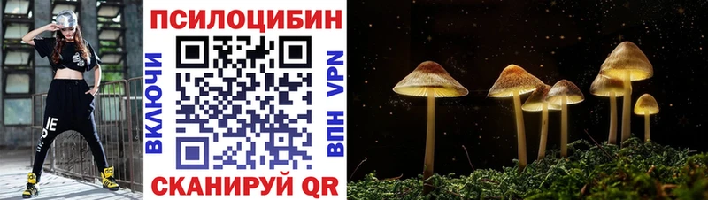 сколько стоит  Калининград  Псилоцибиновые грибы ЛСД 