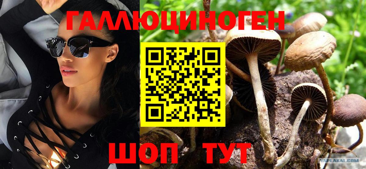 Галлюциногенные грибы Psilocybe  Вход с VPN  Калининград 
