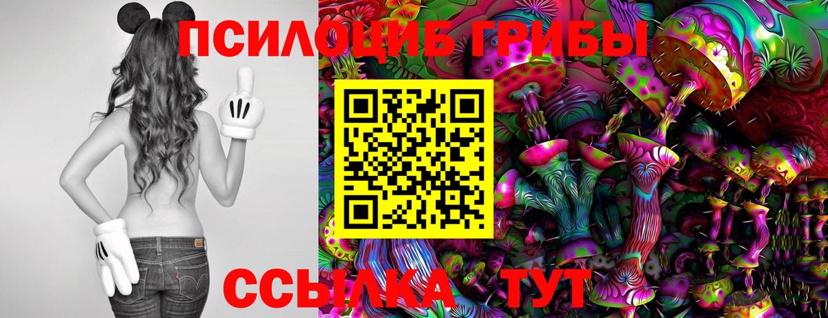 Псилоцибиновые грибы мухоморы  Калининград 